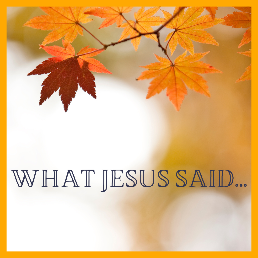 What Jesus said...