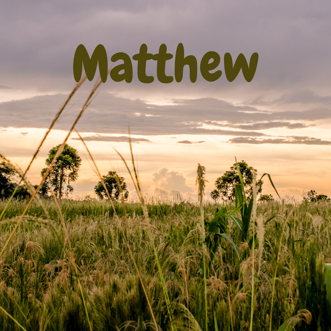 Matthew (evening sermons)